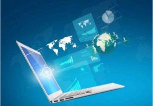 IT中的軟件技術(shù)服務 職業(yè)概述與職責